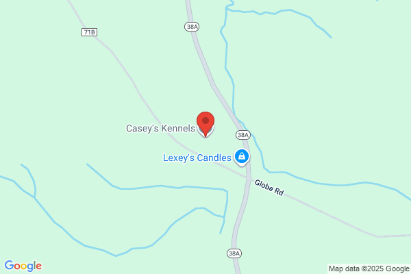 Casey's Country Kennels