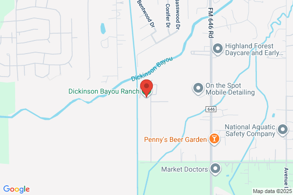 Dickinson Bayou Stables