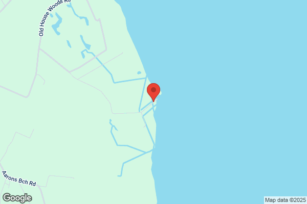 Glasshopper