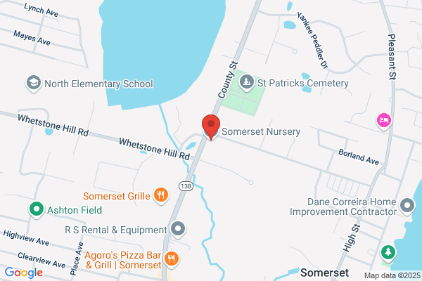 Somerset Nurseries Ltd
