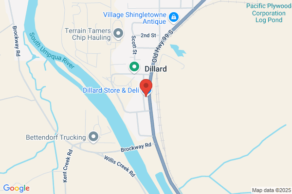 Dillard Store