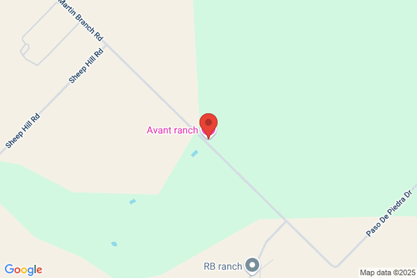 Avant Real Estate