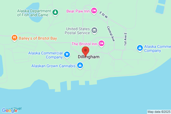 Arctic Chiropractic Dillingham