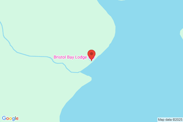 Bristol Bay Eagle