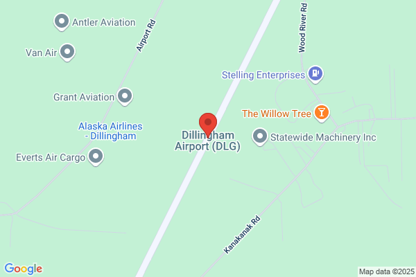 Dillingham Airport