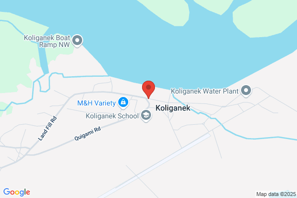 Koliganek Clinic