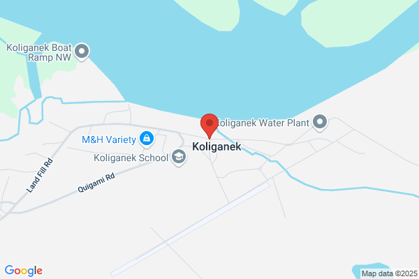 Koliganek School