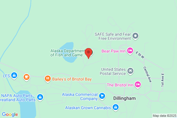 Nushagak Elec & Phone Coop Incorporated
