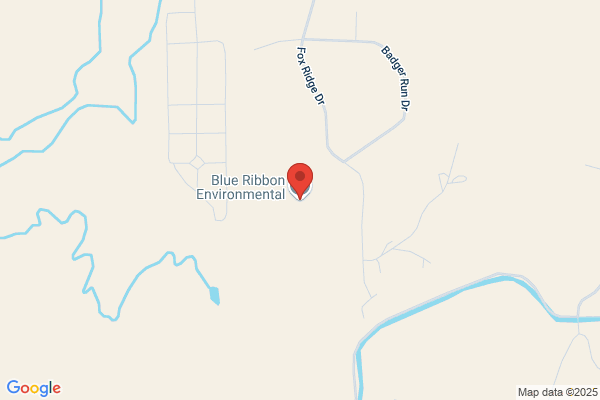Blue Ribbon Environmental