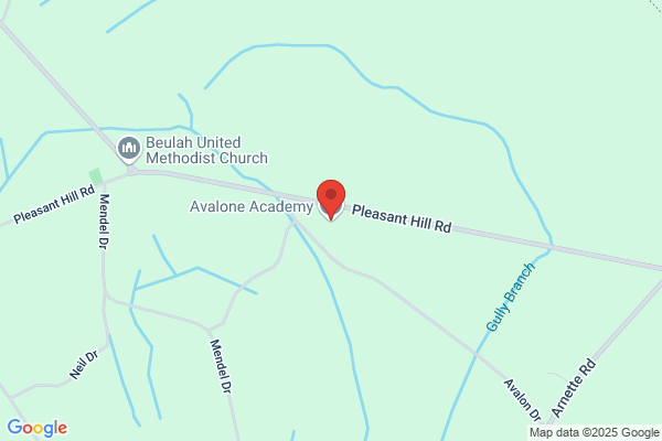 Avalon Academy Inc