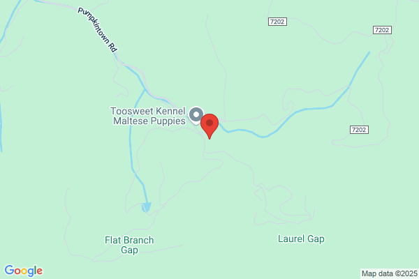 Bearpaw Inc