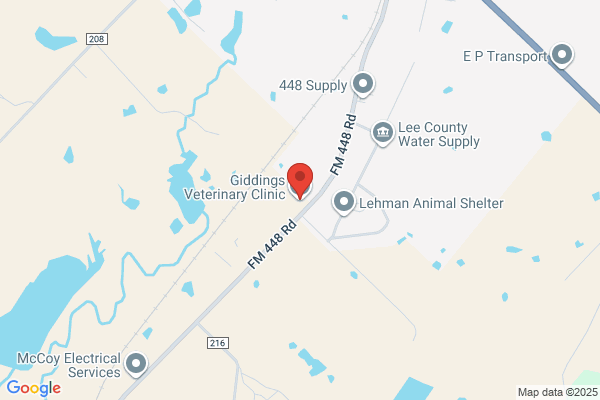 Giddings Veterinary Clinic