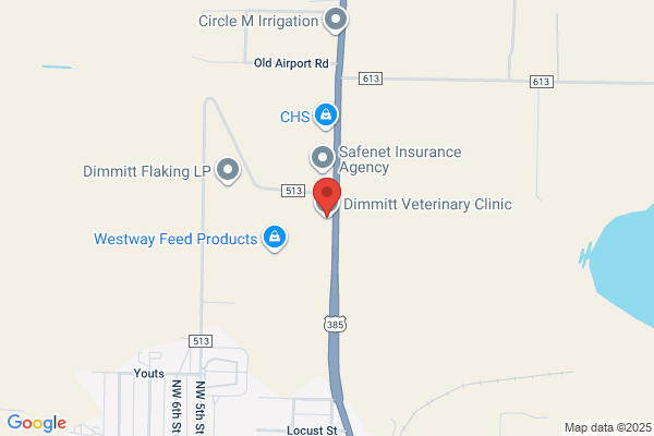 Dimmitt Veterinary Clinic Inc