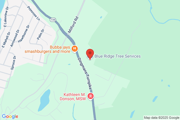 Blue Ridge Tree Services LLC
