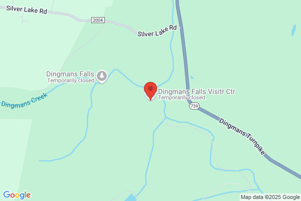 Dingman Agency the