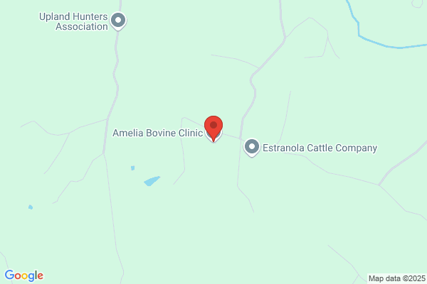 Amelia Bovine Clinic