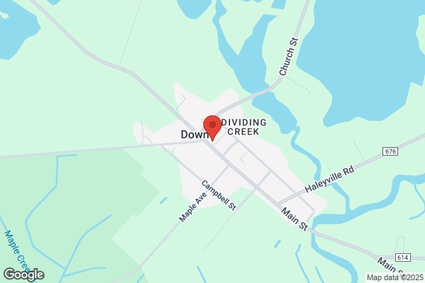 Downe Academy Llc
