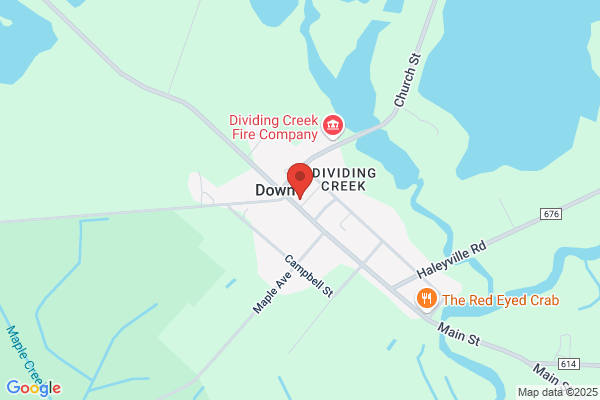 Downe Township Primary School