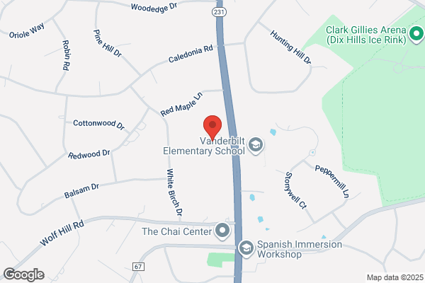 Caring Transitions of Dix Hills