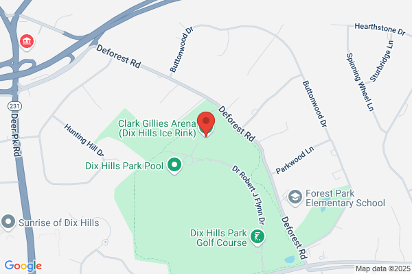 Dix Hills Park Skating Rink