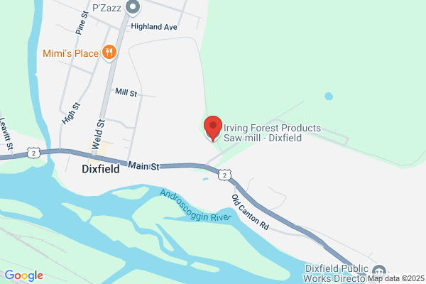 Premium Dixfield Log Yard