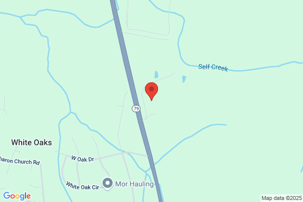 Surveying Services