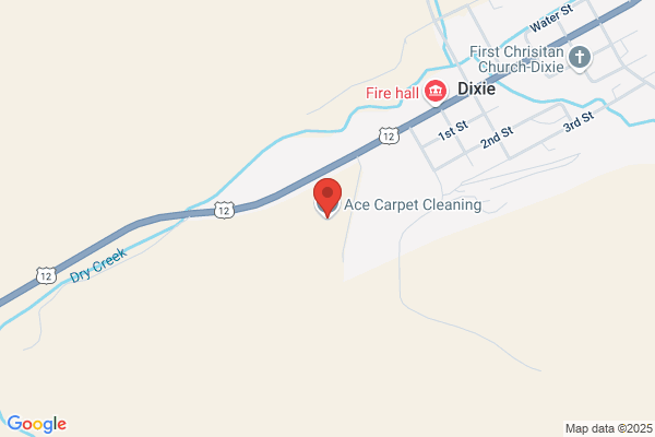 Ace Carpet Cleaning