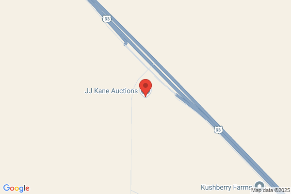 JJ Kane Auctions