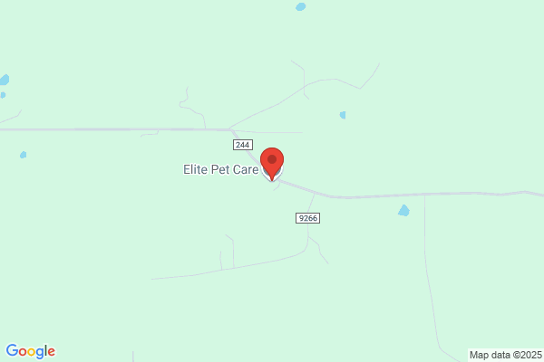 Elite Pets