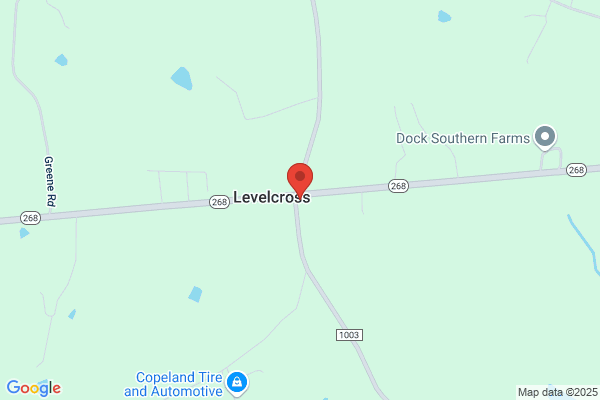 Level Cross General