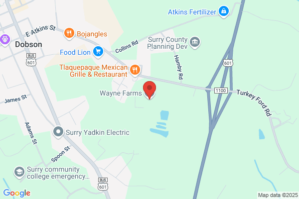 Wayne Farms Llc