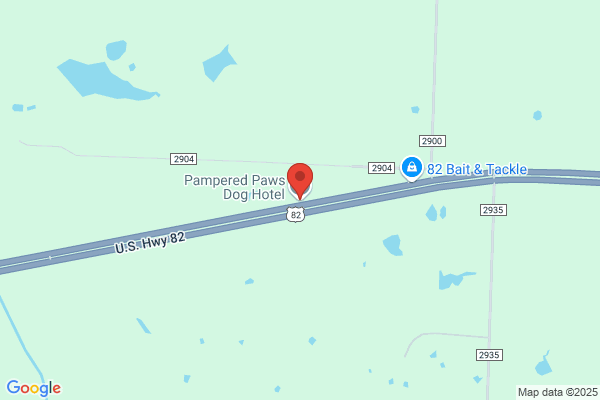 Pampered Paws Dog Hotel & Pet Sitting