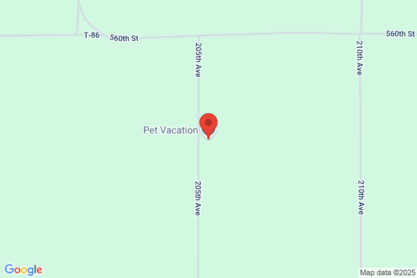 Pet Vacation