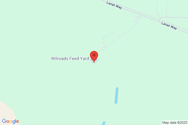 Wilroads Feed Yard