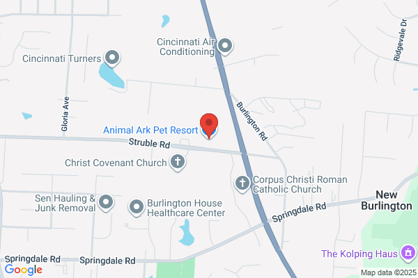 Animal Ark Pet Spa