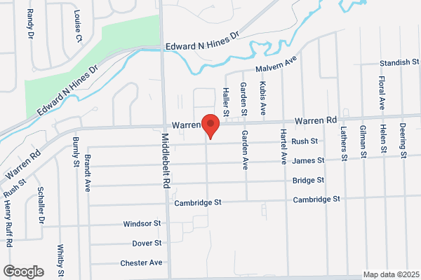 Ray's Painting