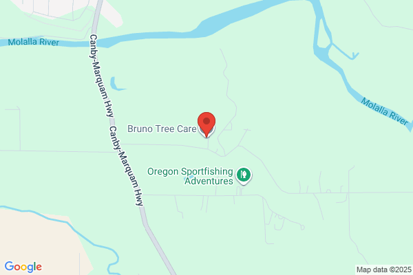 Bruno Tree Care