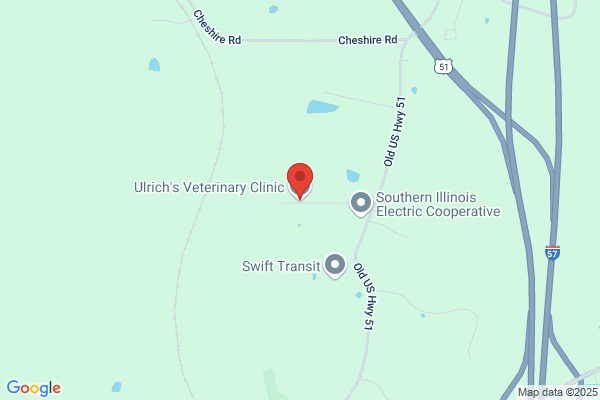Ulrich's Veterinary Clinic