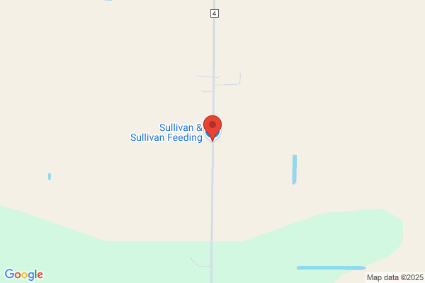 Sullivan & Sullivan Feeding Inc