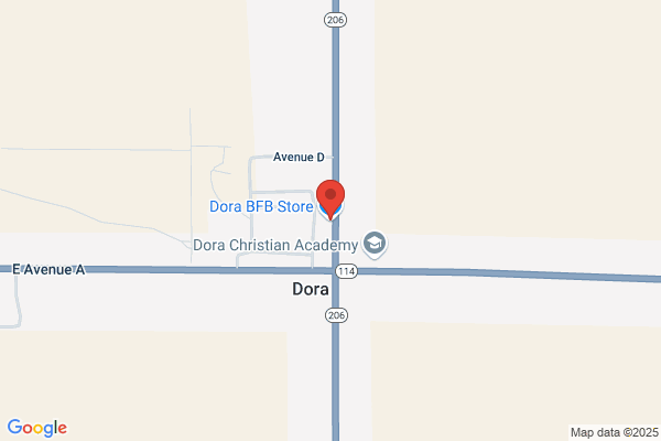 Dora General Store