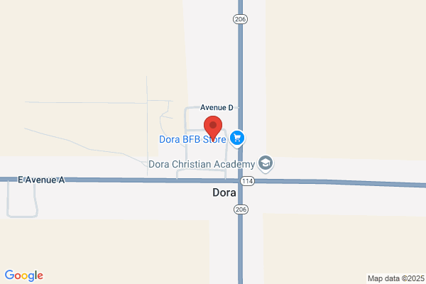 Dora Schools Library