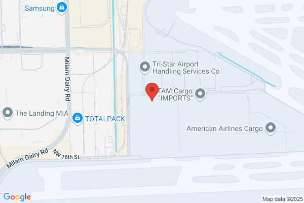 Alitalia Airlines Cargo, Cargo
