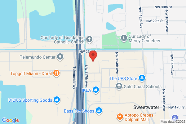 Miami International Service Inc