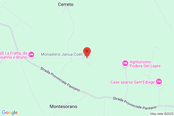 Janua Coeli Inc