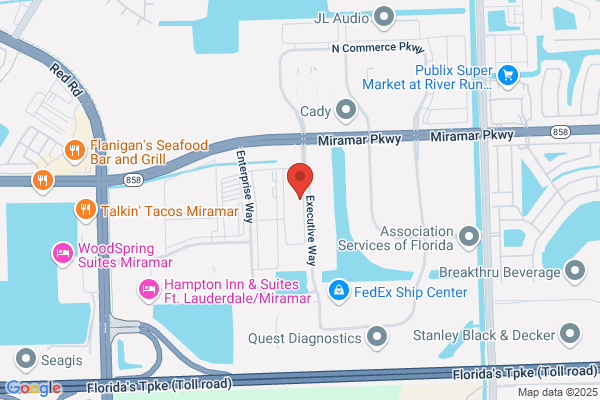 Digital Video Systems Inc