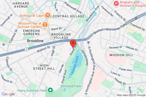 Brookline Village Dental