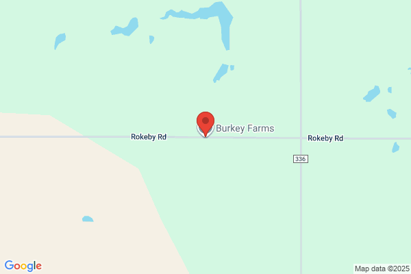 Burkey Farms