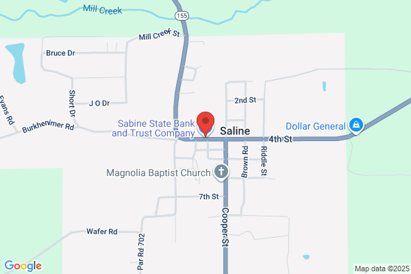 Saline State Bank