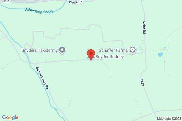 Snyder's Turkey