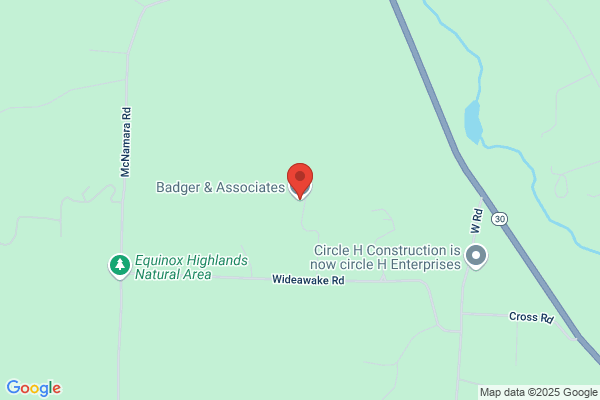 Badger and Associates